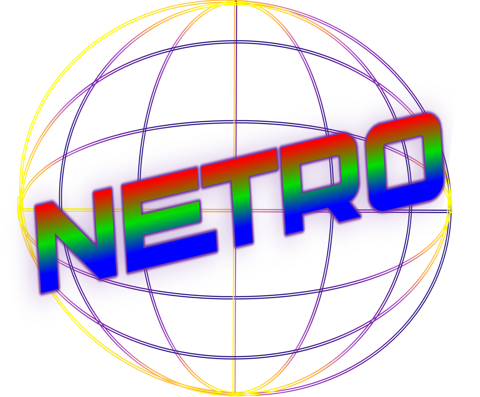 Netro Corporation Status